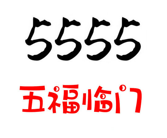 巨野5555吉祥號